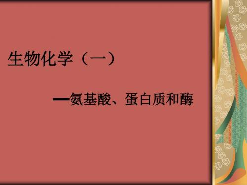 生物化学——氨基酸、蛋白质和酶 PPT课件