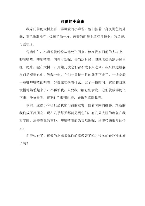 可爱的小麻雀