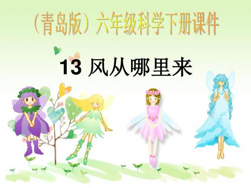 青岛小学科学六下《13、风从哪里来》PPT课件 (2)