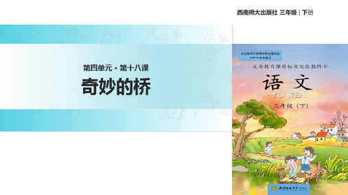 二年级下册语文课件18奇妙的桥∣西师大版 (共13张PPT)