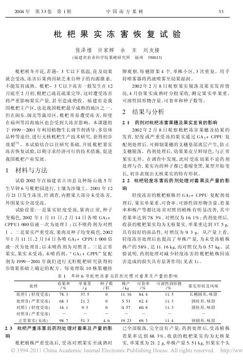 枇杷果实冻害恢复试验