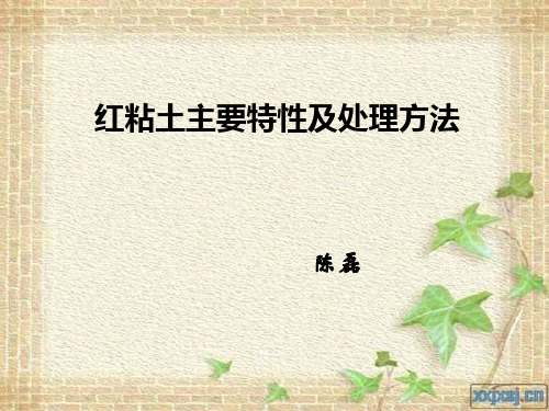 红粘土(PPT)