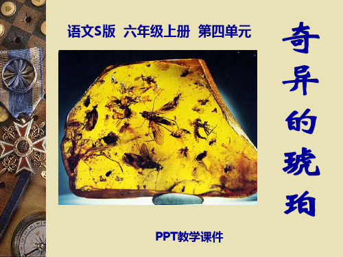语文六上《奇异的琥珀》