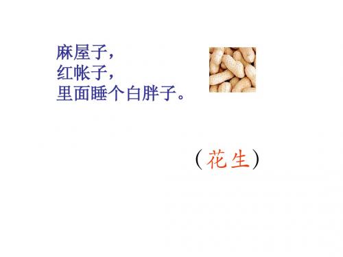 《小松鼠找花生》ppt课件(1)