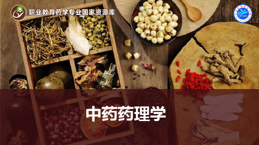 解表药-常用药物.