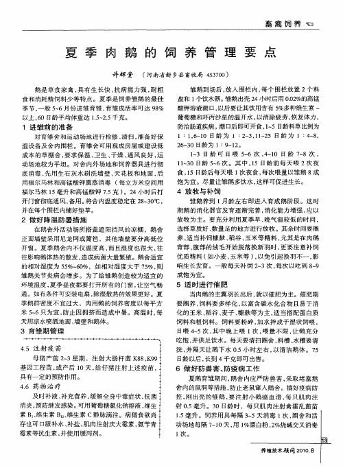 夏季肉鹅的饲养管理要点
