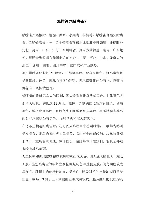 怎样饲养蜡嘴雀？