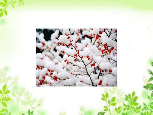 一年级上册语文课件-课文12.雪地里的小画家 人教(部编版)(共44张PPT)