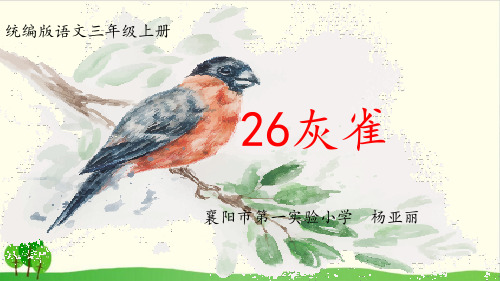 (人教部编版教材)灰雀PPT课件分析1