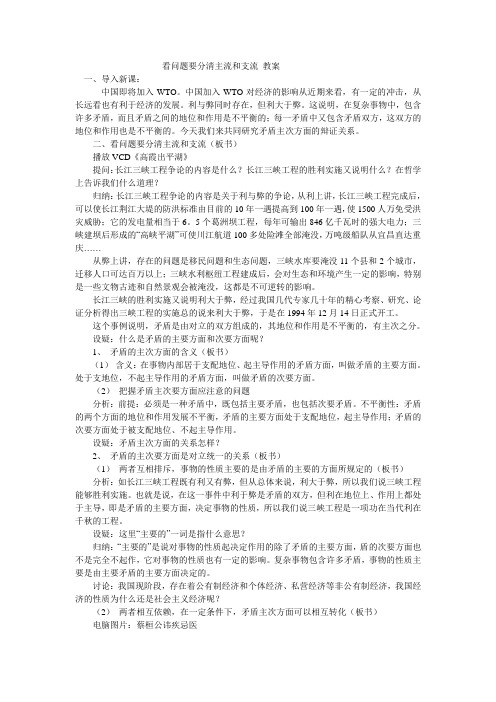 看问题要分清主流和支流 教案