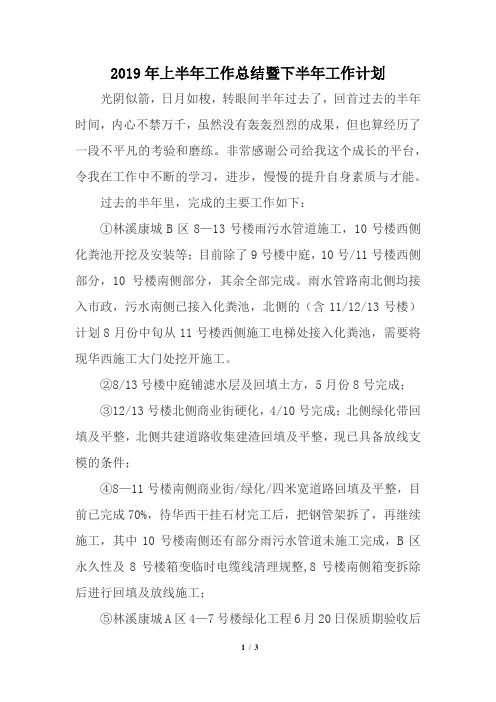 2019年上半年工作总结暨下半年工作计划