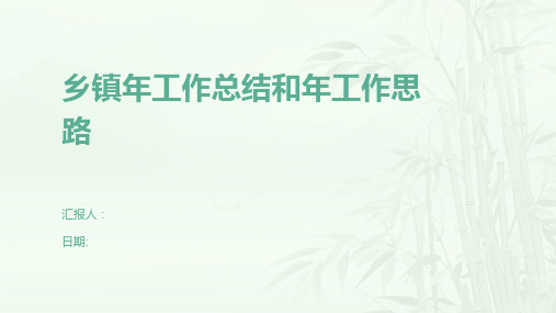 乡镇年工作总结和年工作思路