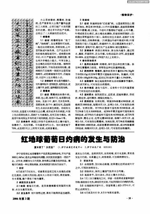 大白菜三大病害的发生与防治技术