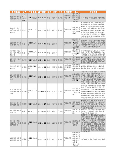 2021年湖北省电池制造行业企业名录865家