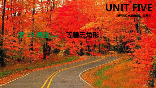 中考数学总复习 第五单元 三角形 第19课时 等腰三角形课件