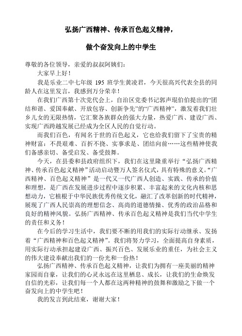 广西精神百色精神发言稿
