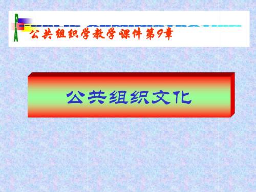 公共组织文化ppt课件