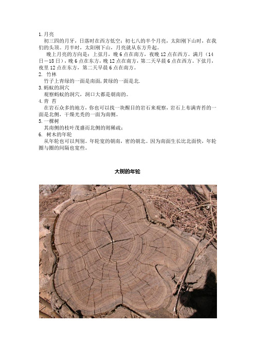 大自然指南针