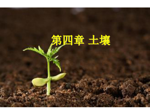 华师大版七年级科学化学下册第4章土壤综合课件