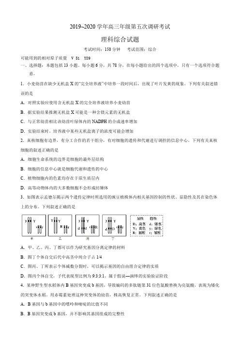 衡水中学2020届高三下学期五调理科综合试题及答案解析