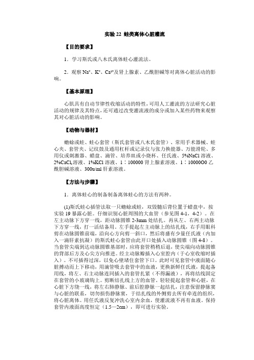 离体心脏灌流