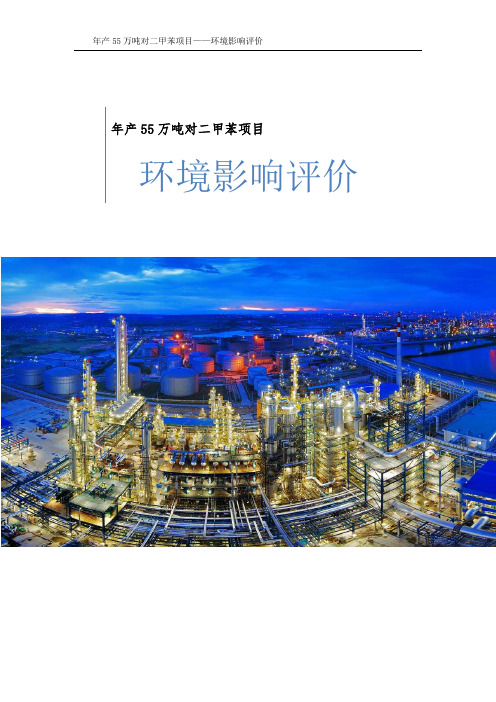 年产55万吨对二甲苯项目-环境影响评价报告38页