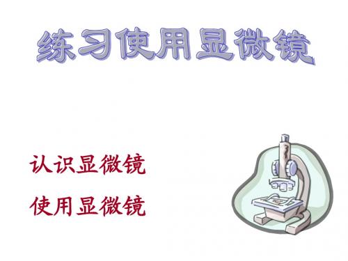 第一节练习使用显微镜