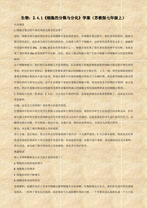 生物：2.4.1《细胞的分裂与分化》学案(苏教版七年级上).doc