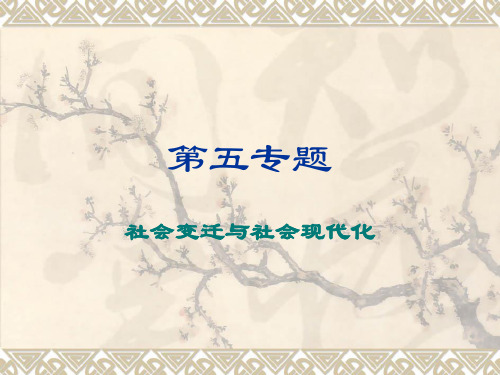 第五讲：社会变迁与现代化