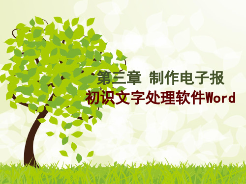学习word文档-制作电子报.ppt
