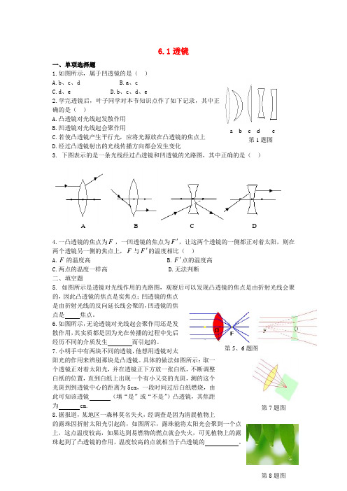 八年级物理下册 第六章 常见的光学仪器 一