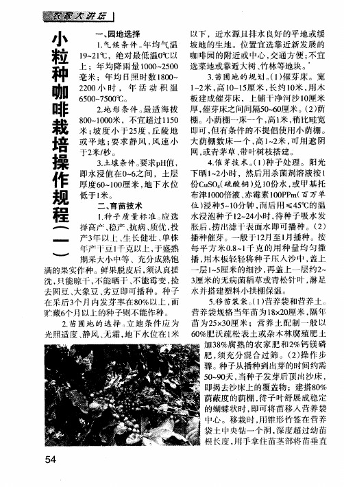 小粒种咖啡栽培操作规程(一)