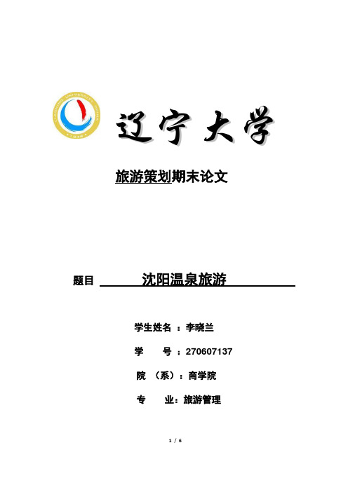 旅游策划作业