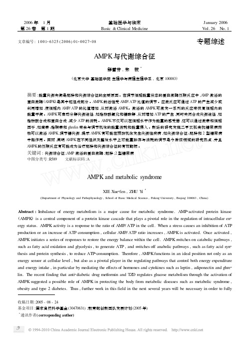AMPK与代谢综合征