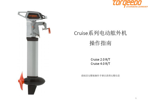 Cruise系列电动舷外机