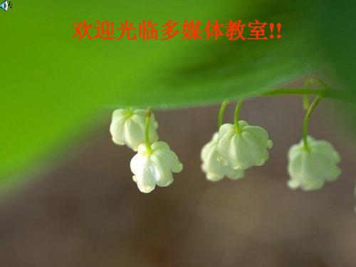 平行线的性质 ppt课件1