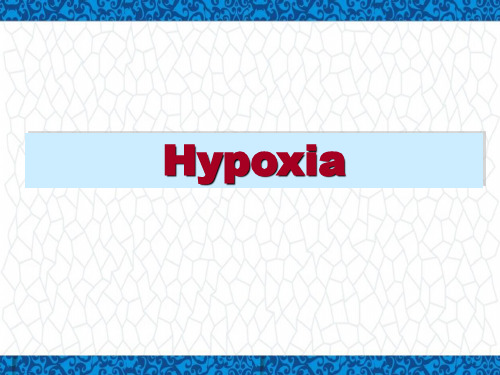呼吸系统PPT课件：hypoxia