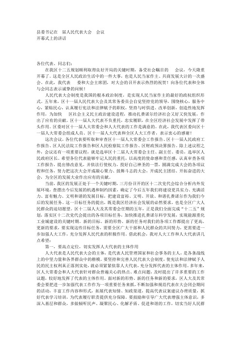 县委书记在  届人民代表大会  会议