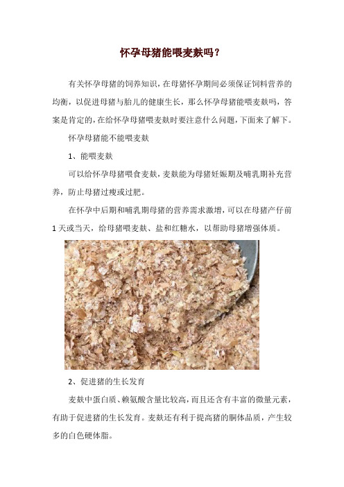 怀孕母猪能喂麦麸吗？