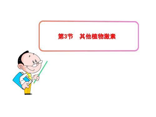 高中生物PPT授课课件(人教版必修3)3.3其他植物激素