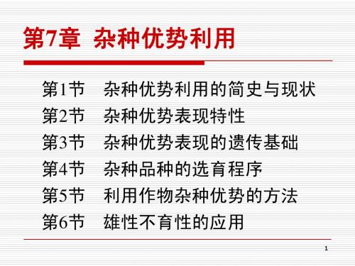 第7章  杂种优势利用