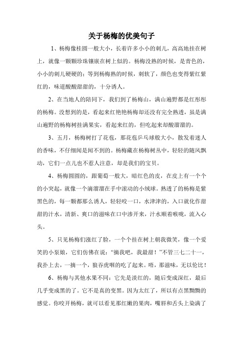 关于杨梅的优美句子