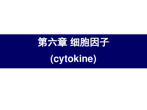 6 细胞因子