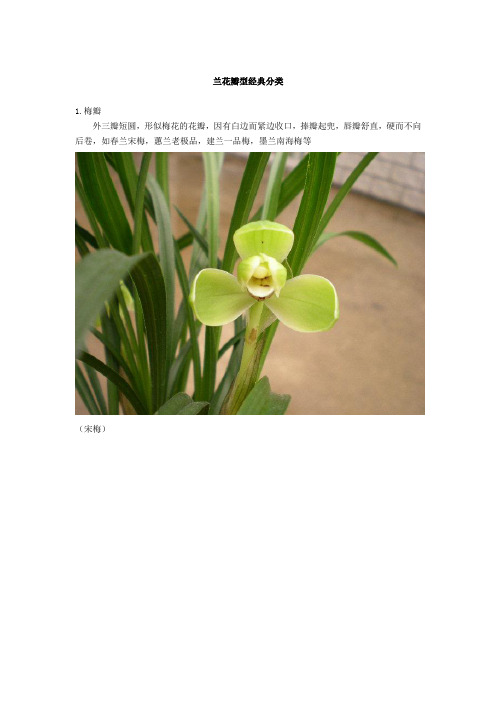兰花瓣型经典分类(DOC)