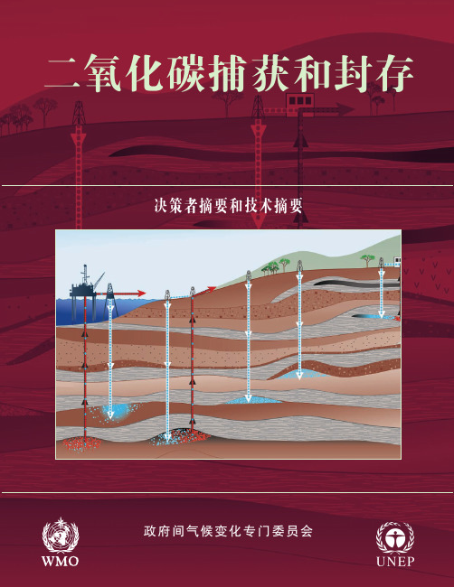 二氧化碳捕集与封存,决策者摘要和技术摘要