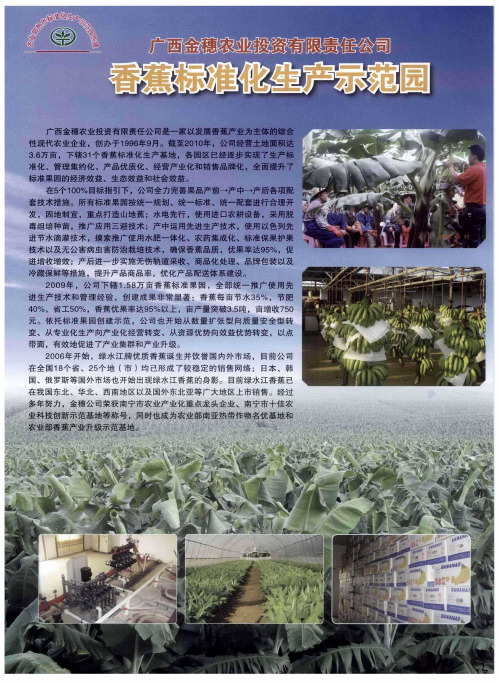 广西金穗农业投资有限责任公司香蕉标准化生产示范园