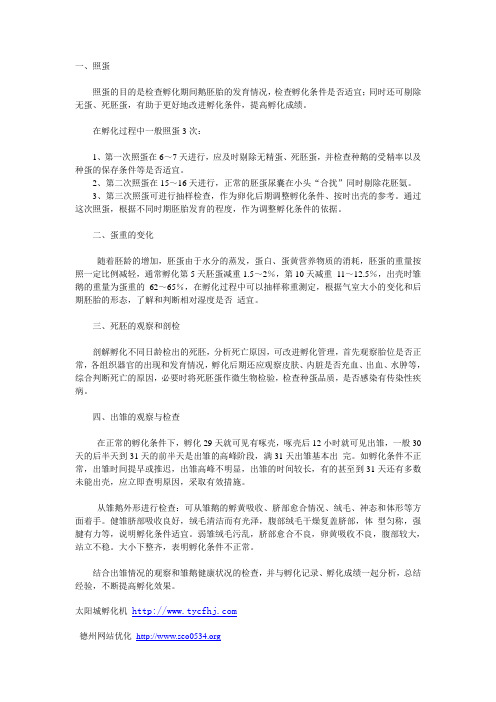 孵化效果如何怎样检查