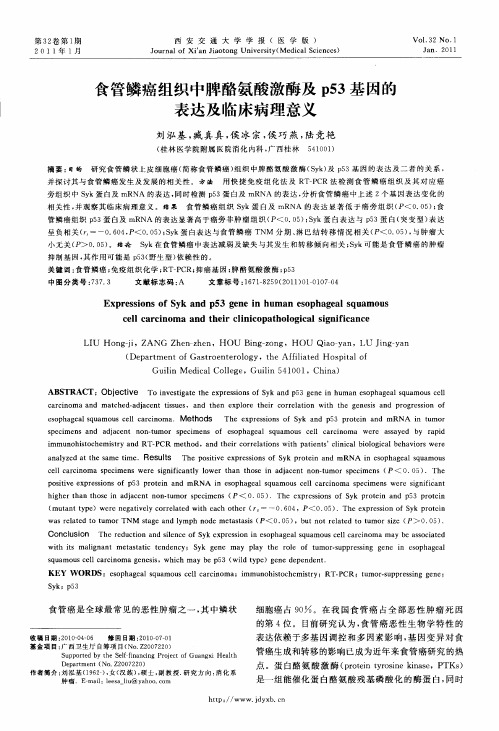 食管鳞癌组织中脾酪氨酸激酶及p53基因的表达及临床病理意义