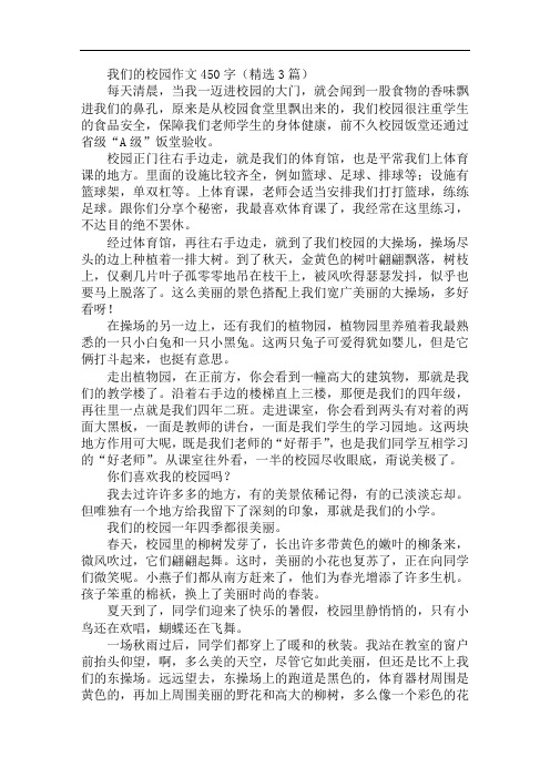 我们的校园作文450字