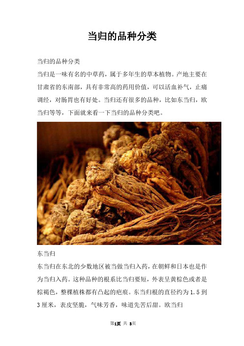 当归的品种分类